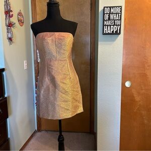 Express Strapless Shimmering Dress